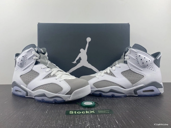 Grey Cool Jordan Air 6 CT8529-100 1213